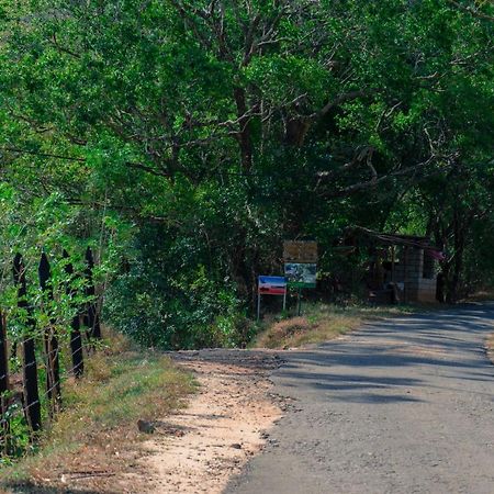 Nature Springs Belihul Oya Balangoda Exterior foto