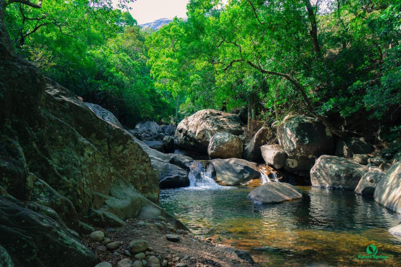 Nature Springs Belihul Oya Balangoda Exterior foto